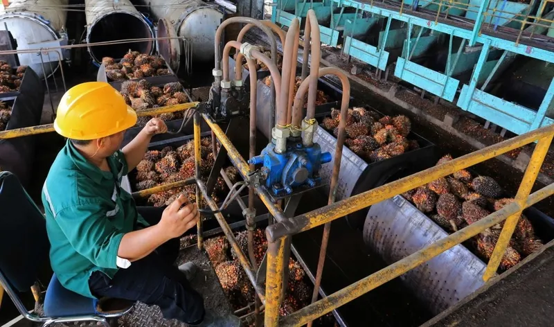 Pabrik Pengolahan CPO Modern