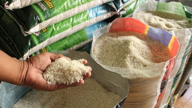 Ekspansi Produk Beras Premium ke Pasar Global