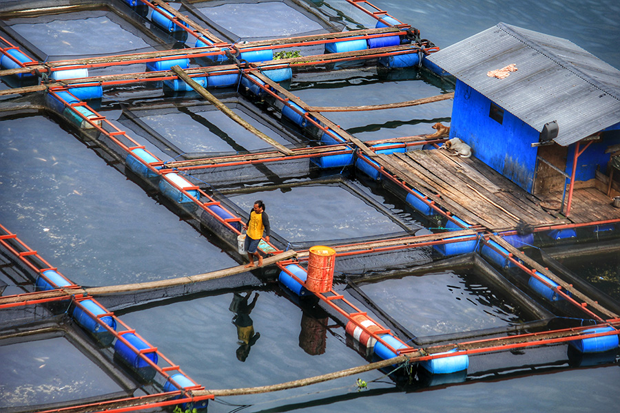 Pengembangan Sektor Perikanan Modern